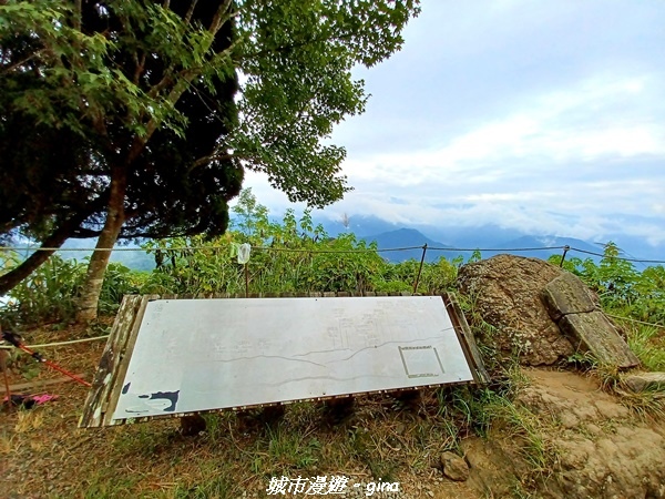 20211030_094437.jpg 20211030_094437.jpg