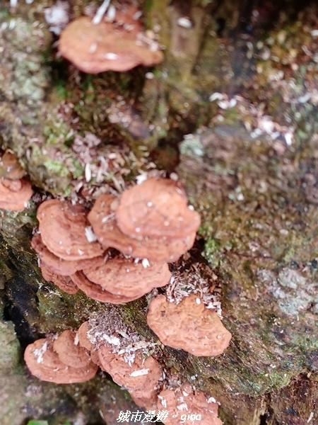 20211030_101057.jpg 20211030_101057.jpg