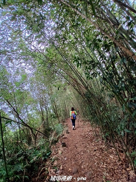 20211030_102820.jpg 20211030_102820.jpg