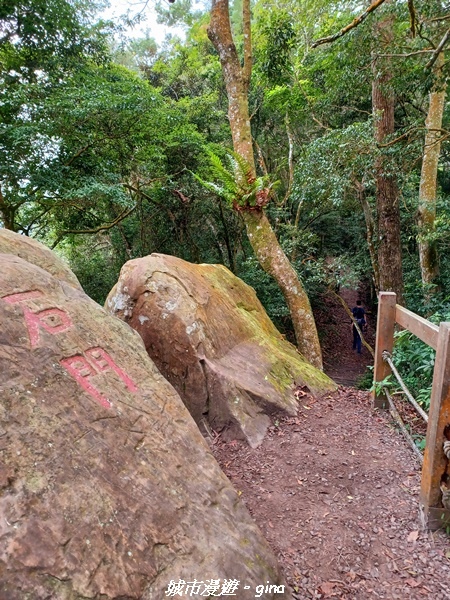 20211030_100110.jpg 20211030_100110.jpg