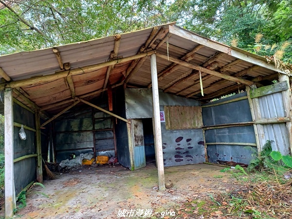 20211030_104113.jpg 20211030_104113.jpg