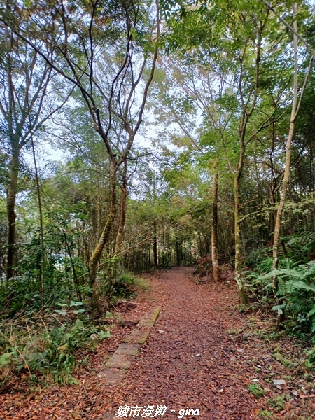 20211030_104125.jpg 20211030_104125.jpg