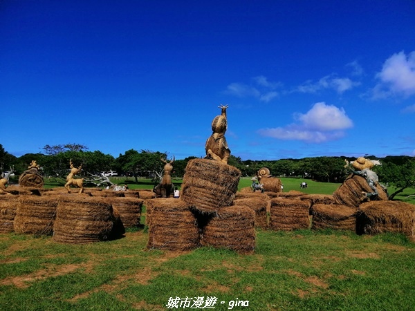 IMG_20211024_094604.jpg IMG_20211024_094604.jpg