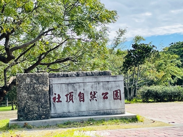 IMG_20211024_094738.jpg IMG_20211024_094738.jpg