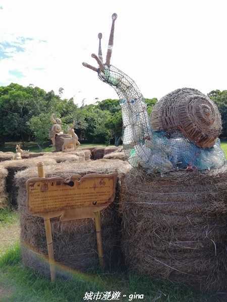 IMG_20211024_095148.jpg IMG_20211024_095148.jpg