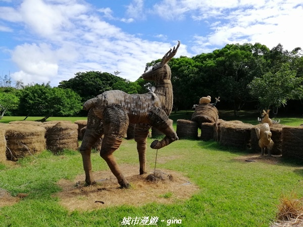 IMG_20211024_095203.jpg IMG_20211024_095203.jpg