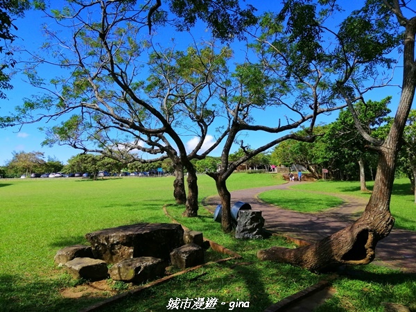 IMG_20211024_100135.jpg IMG_20211024_100135.jpg