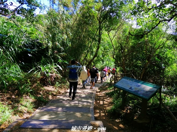 IMG_20211024_100453.jpg IMG_20211024_100453.jpg