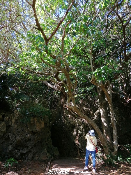 IMG_20211024_100526.jpg IMG_20211024_100526.jpg