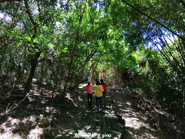 IMG_20211024_100731.jpg IMG_20211024_100731.jpg