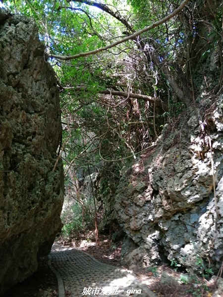 IMG_20211024_102350.jpg IMG_20211024_102350.jpg