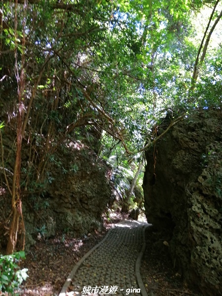 IMG_20211024_102417.jpg IMG_20211024_102417.jpg