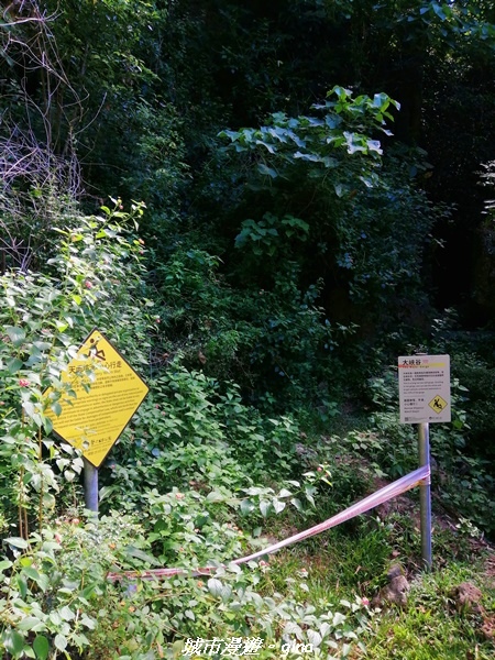 IMG_20211024_102236.jpg IMG_20211024_102236.jpg