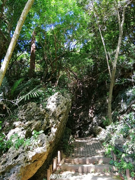 IMG_20211024_102305.jpg IMG_20211024_102305.jpg