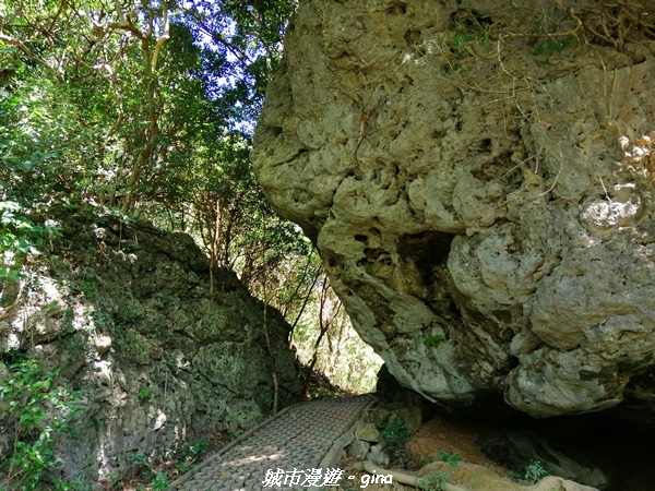 IMG_20211024_102510.jpg IMG_20211024_102510.jpg