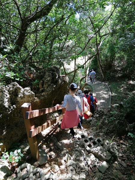 IMG_20211024_102903.jpg IMG_20211024_102903.jpg