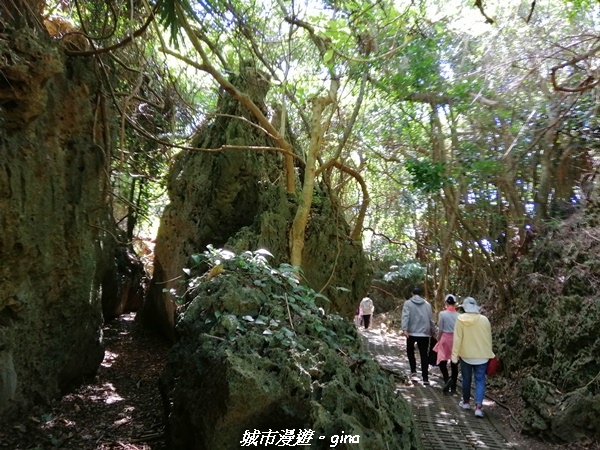 IMG_20211024_104853.jpg IMG_20211024_104853.jpg