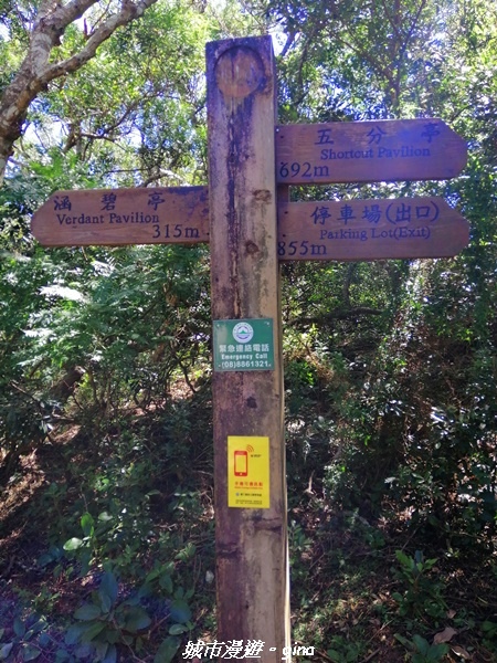 IMG_20211024_112011.jpg IMG_20211024_112011.jpg