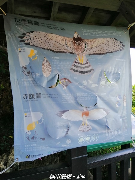 IMG_20211024_113647.jpg IMG_20211024_113647.jpg