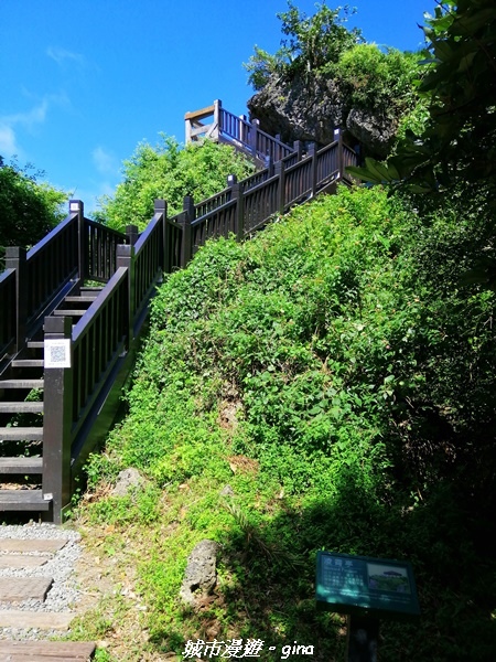 IMG_20211024_112026.jpg IMG_20211024_112026.jpg