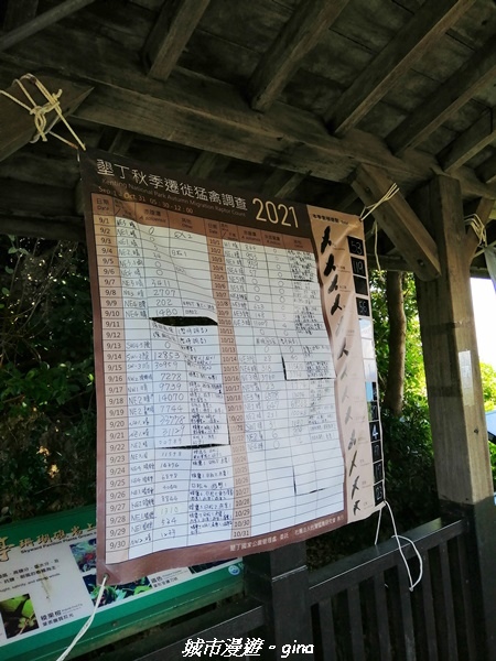 IMG_20211024_112133.jpg IMG_20211024_112133.jpg