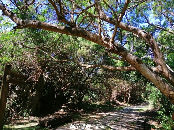 IMG_20211024_114746.jpg IMG_20211024_114746.jpg