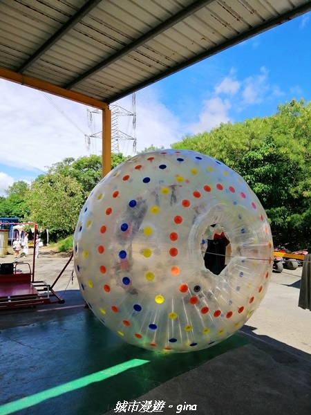 IMG_20211024_130153.jpg IMG_20211024_130153.jpg