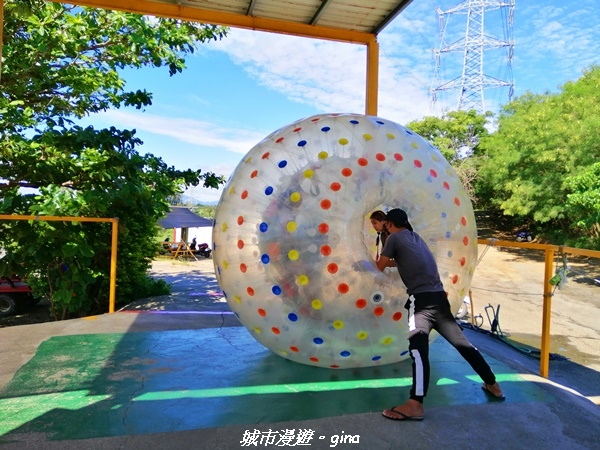 IMG_20211024_131809.jpg IMG_20211024_131809.jpg