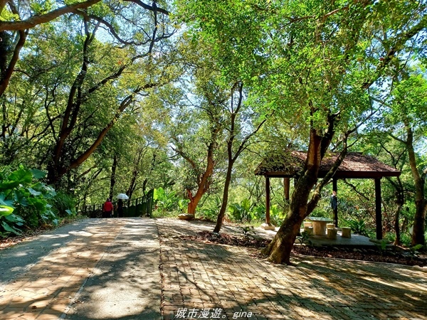 20211106_094603.jpg 20211106_094603.jpg