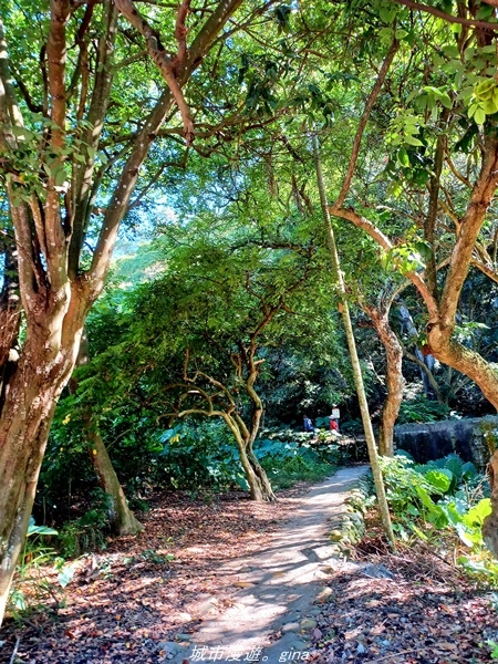 20211106_095115.jpg 20211106_095115.jpg