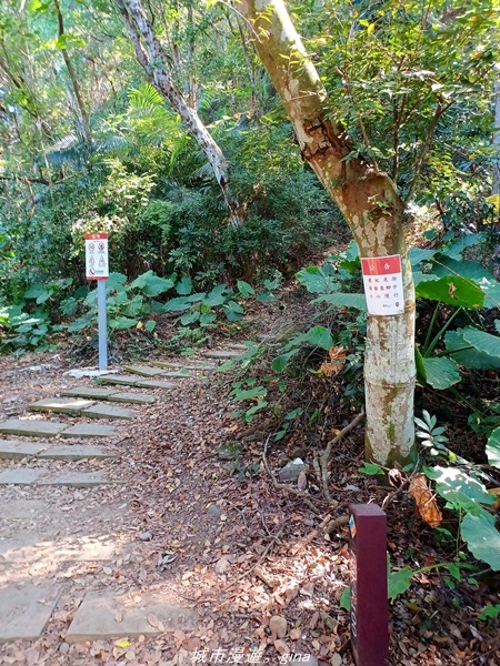 20211106_095156.jpg 20211106_095156.jpg