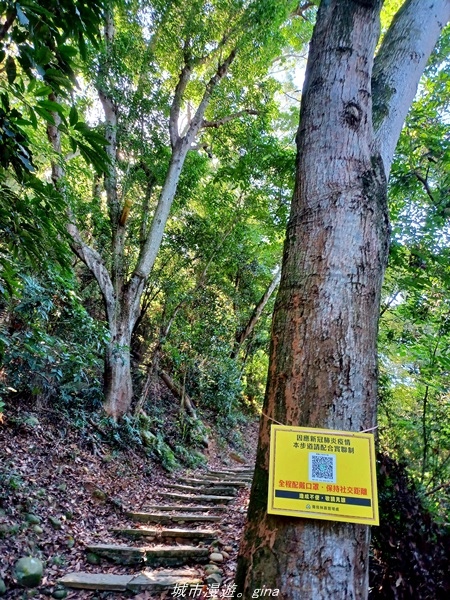 20211106_095235.jpg 20211106_095235.jpg