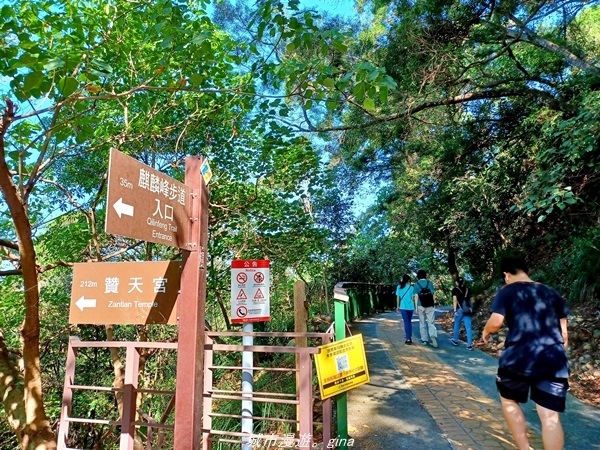 【彰化田中】郊山賞景休憩。 麒麟山森林步道x歐咖啡