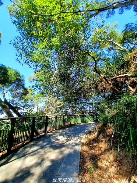 20211106_100450.jpg 20211106_100450.jpg