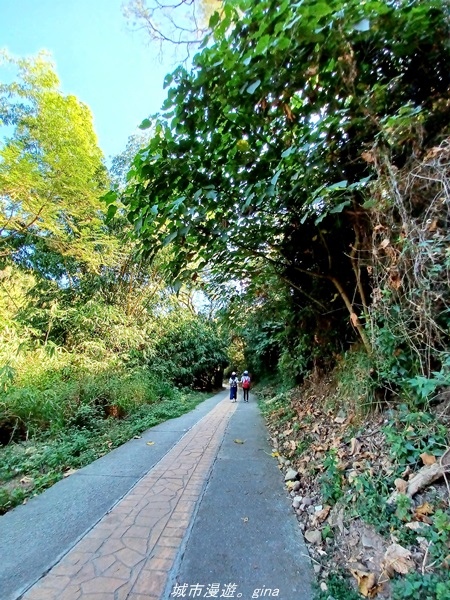 【彰化田中】郊山賞景休憩。 麒麟山森林步道x歐咖啡