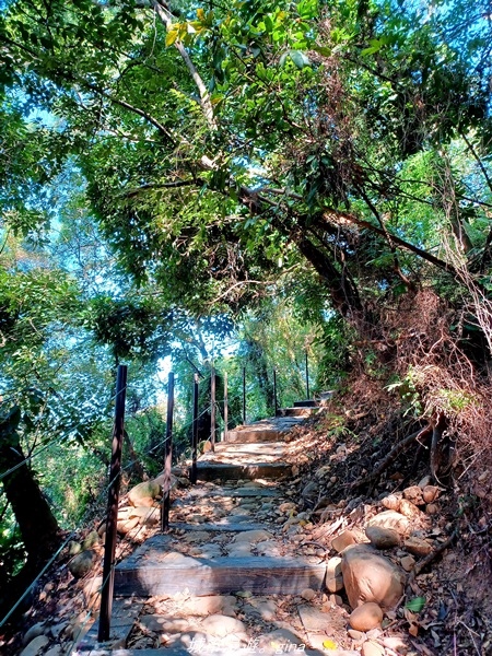 20211106_095432.jpg 20211106_095432.jpg