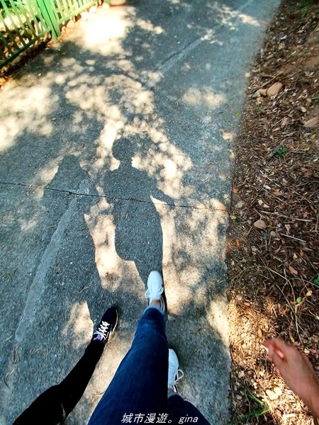 20211106_100500.jpg 20211106_100500.jpg