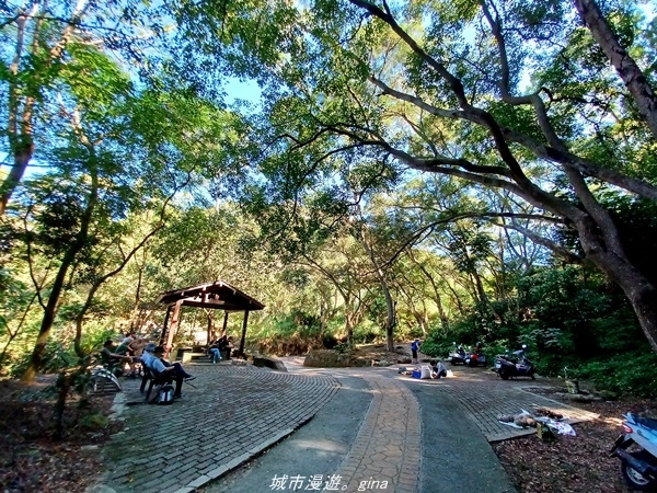 20211106_100950.jpg 20211106_100950.jpg