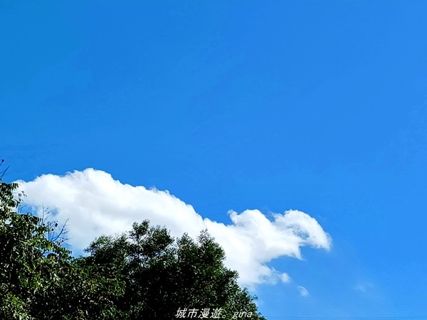 20211106_102850.jpg 20211106_102850.jpg