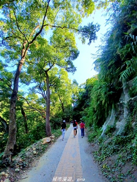 20211106_102505.jpg 20211106_102505.jpg