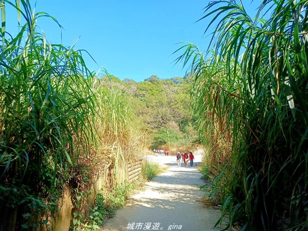 【彰化田中】郊山賞景休憩。 麒麟山森林步道x歐咖啡