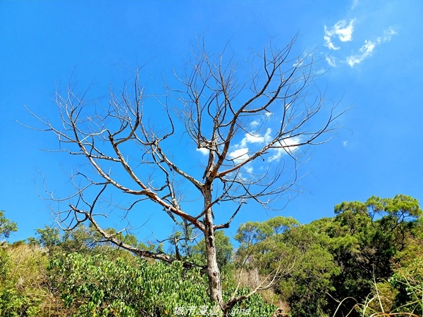 20211106_102903.jpg 20211106_102903.jpg