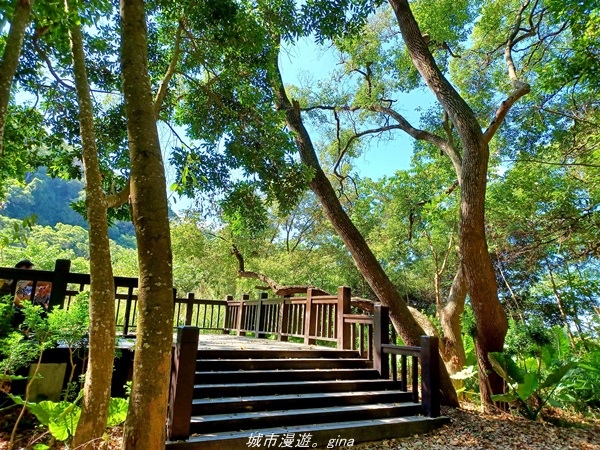 20211106_103044.jpg 20211106_103044.jpg