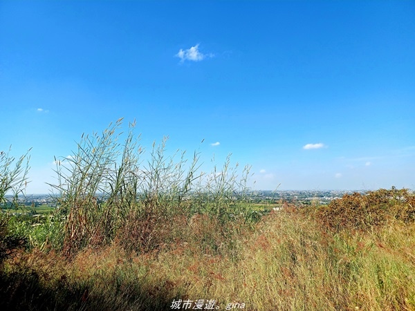 20211106_103822.jpg 20211106_103822.jpg