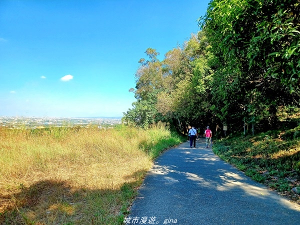 20211106_103847.jpg 20211106_103847.jpg