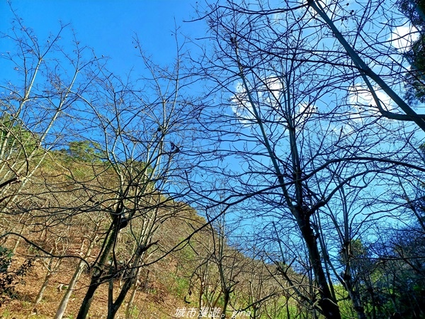 20211106_104133.jpg 20211106_104133.jpg