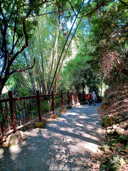 20211106_104652.jpg 20211106_104652.jpg