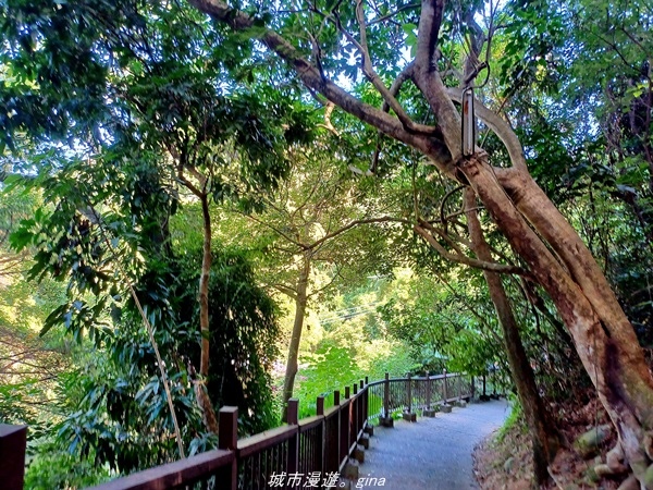 20211106_105336.jpg 20211106_105336.jpg