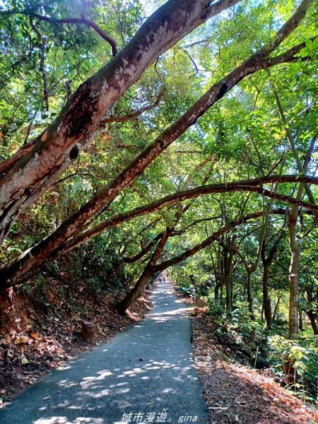 20211106_112349.jpg 20211106_112349.jpg