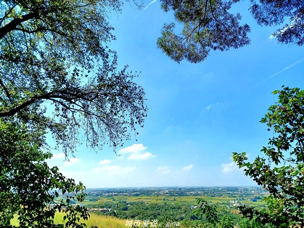 20211106_113219.jpg 20211106_113219.jpg